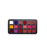 پالت رژلب استیل کاراکتر C-A401